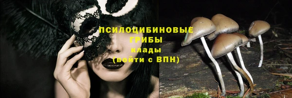 шишки Лиски