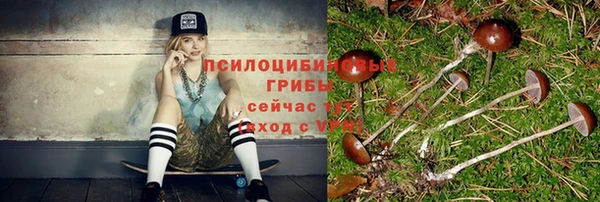винт Долгопрудный
