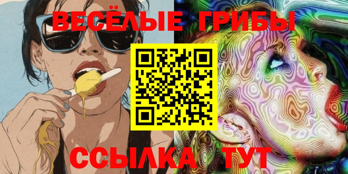 Псилоцибиновые грибы мицелий  Кызыл 